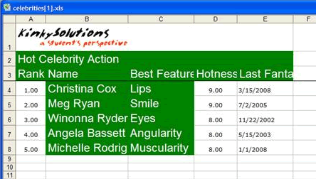 POI Utiltiy Style Bleed Issue In Microsoft Excel 2007.