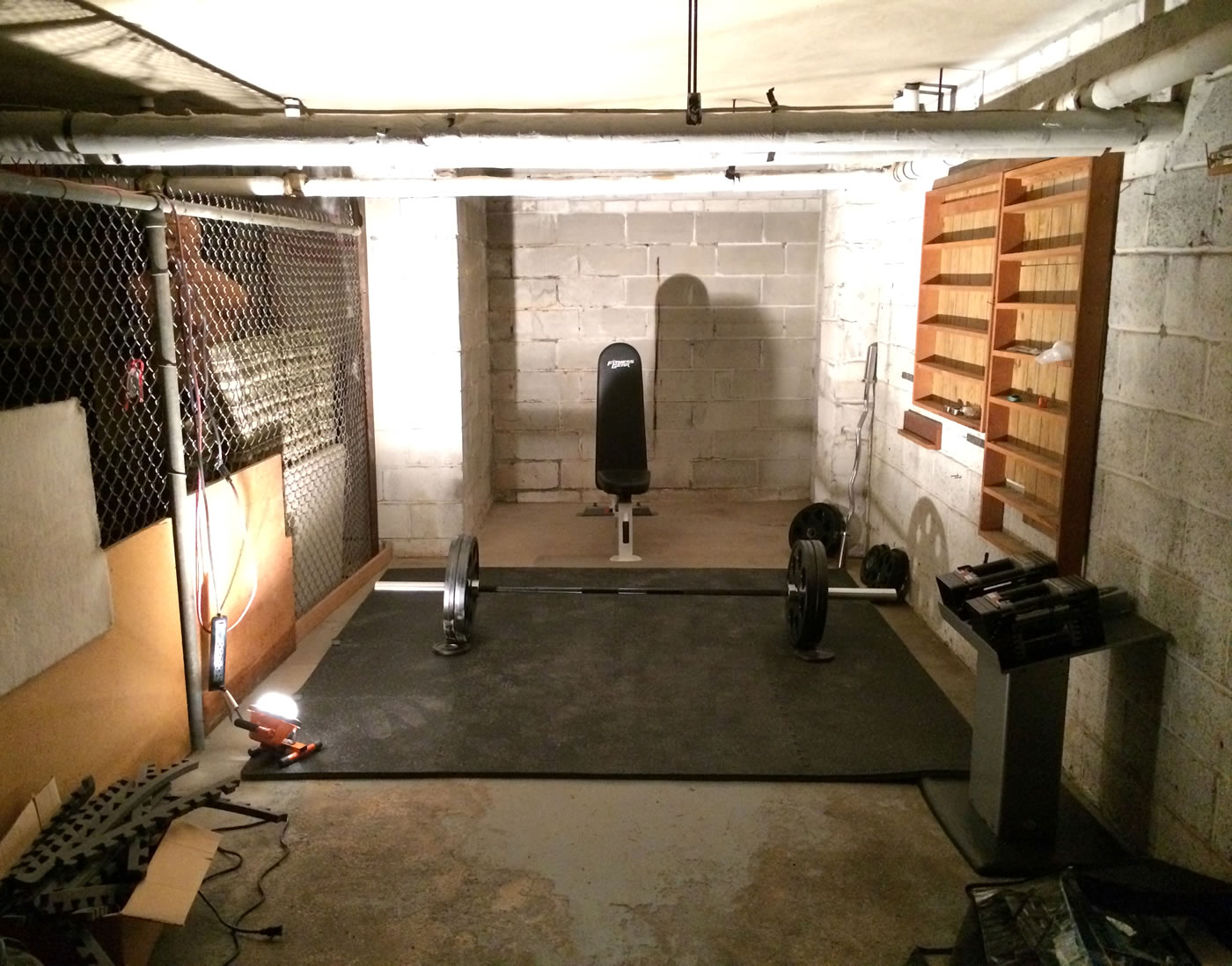 Building a home gym - rogue fitness ohio power bar and hudson steel co olympic weight plates.