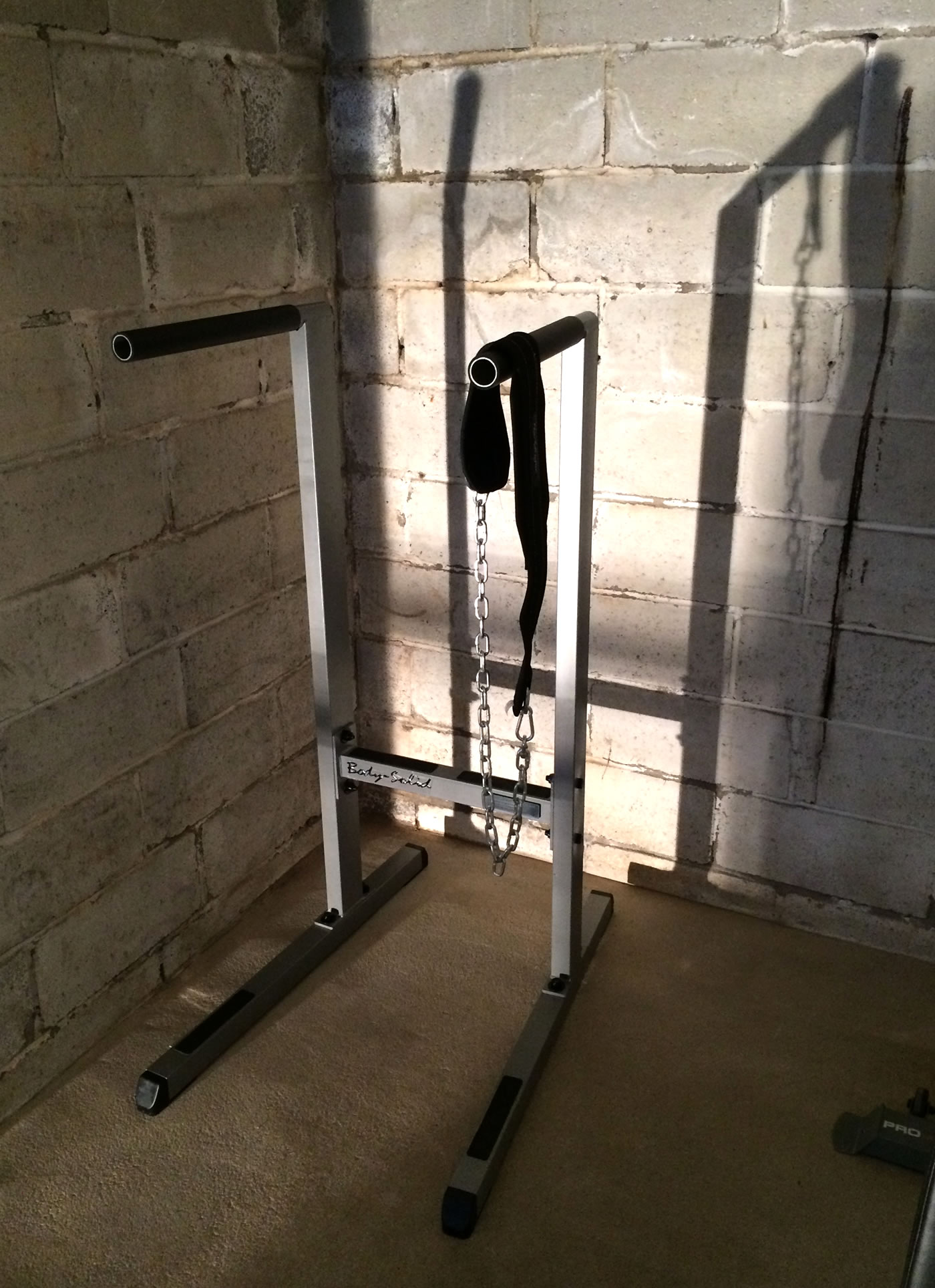 Building a home gym - body solid dip station.