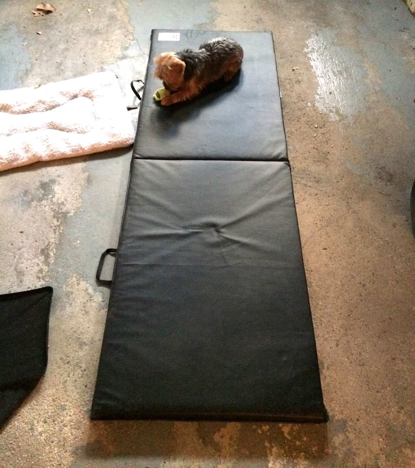 Building a home gym - everlast folding gym mat.