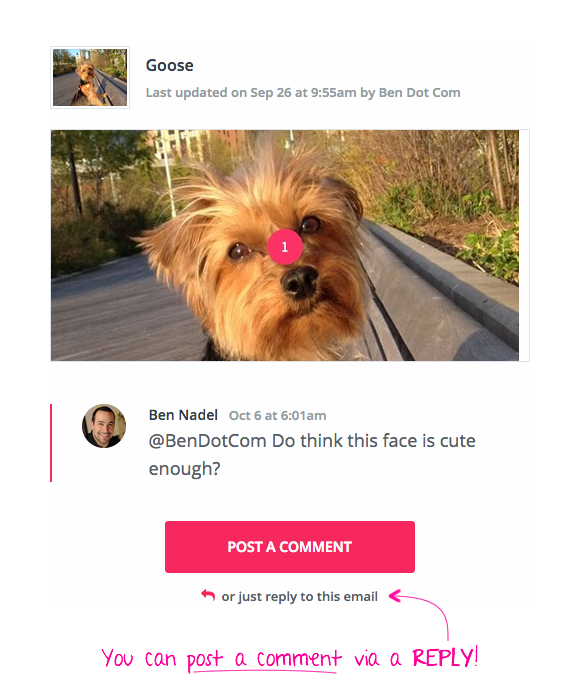 Email that allows reply-based interaction with a web application (like InVision App).