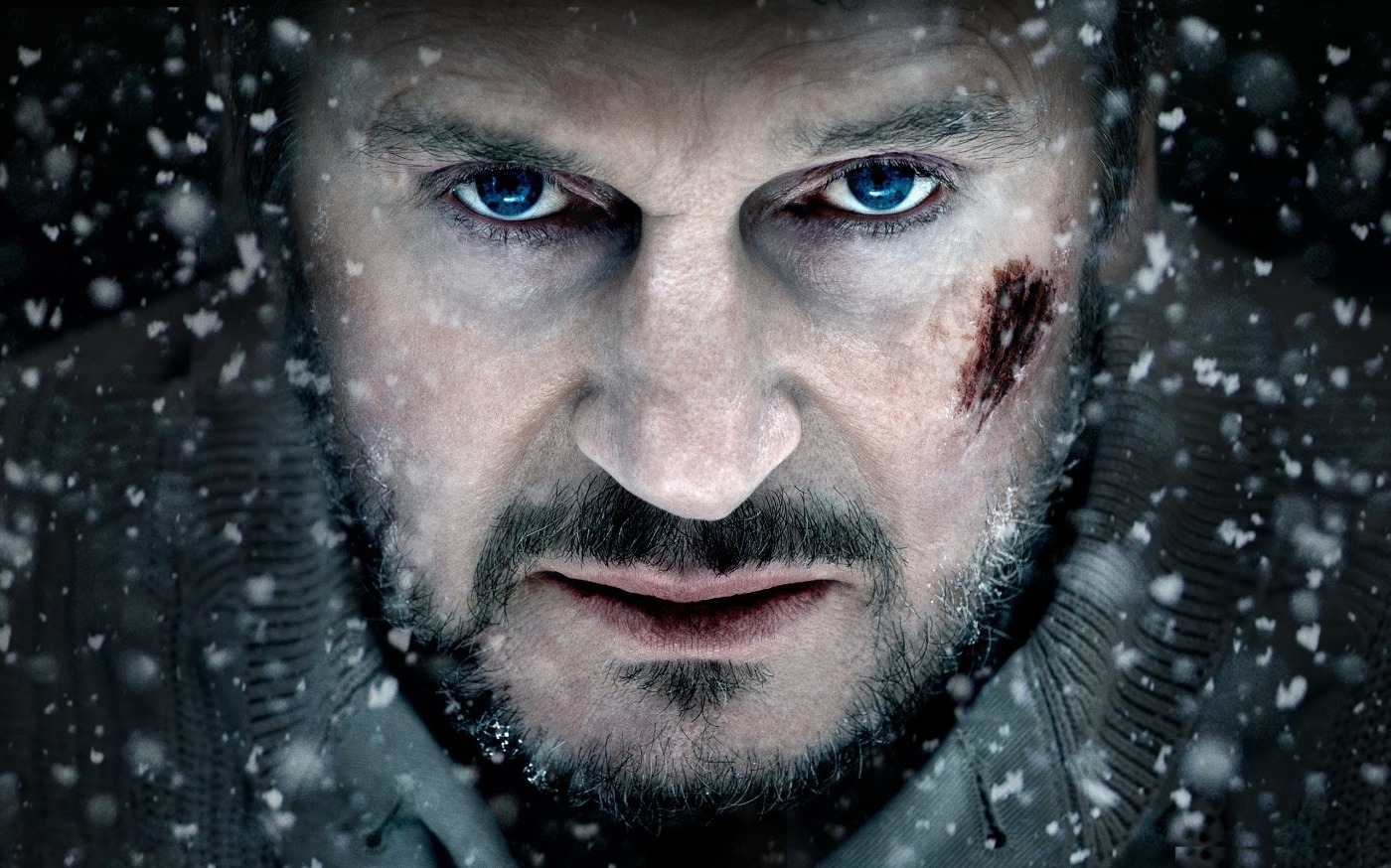 Liam Neeson in The Grey, staring solemnly.