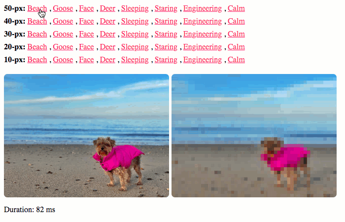 An image getting pixelated with different levels of pixelation using GraphicsMagick and Lucee CFML.