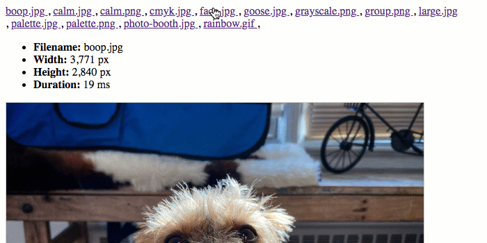 GraphicsMagick reporting width and height of image in Lucee CFML.