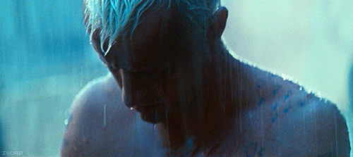 GIF of the 'tears in the rain' scene from Blade Runner - Rutger Hauer sitting dead in the rain.