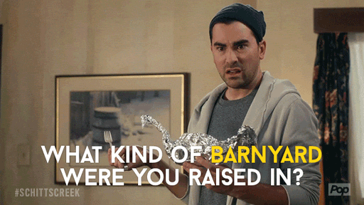 David from Schitt's Creek saying, What kind of barnyard were you raised in?