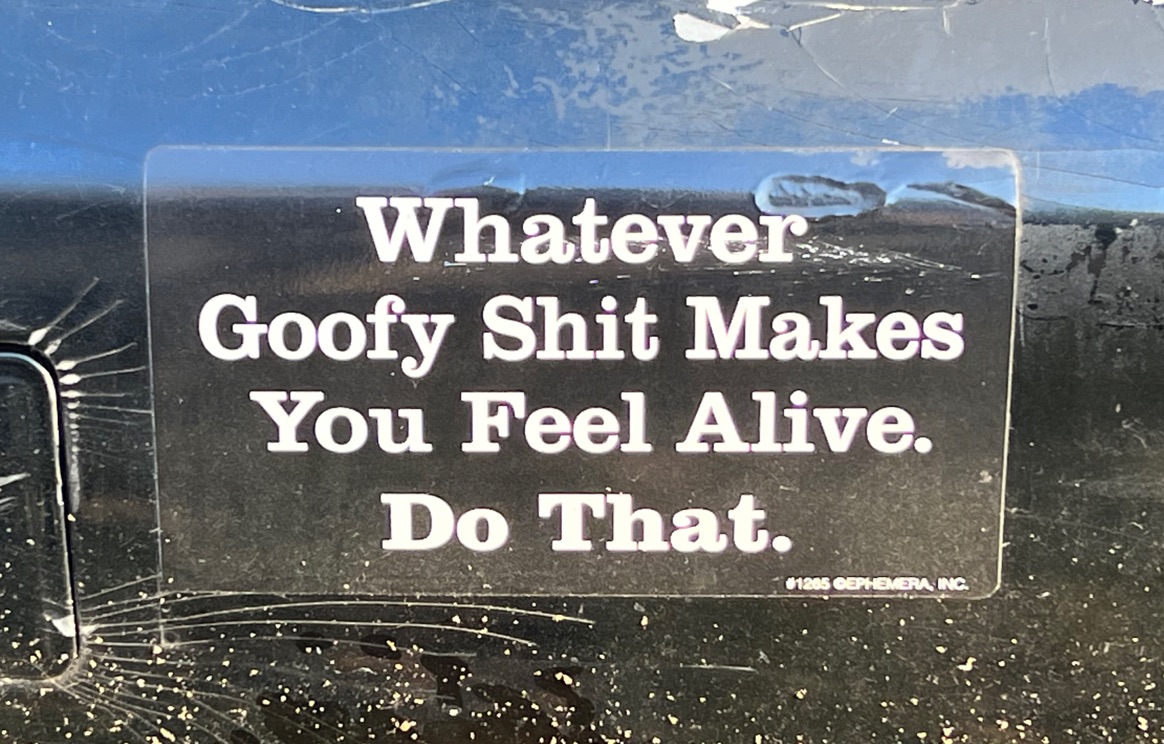 Bumper sticker saying 'Whatever goofy shit makes you feel alive - do that!'