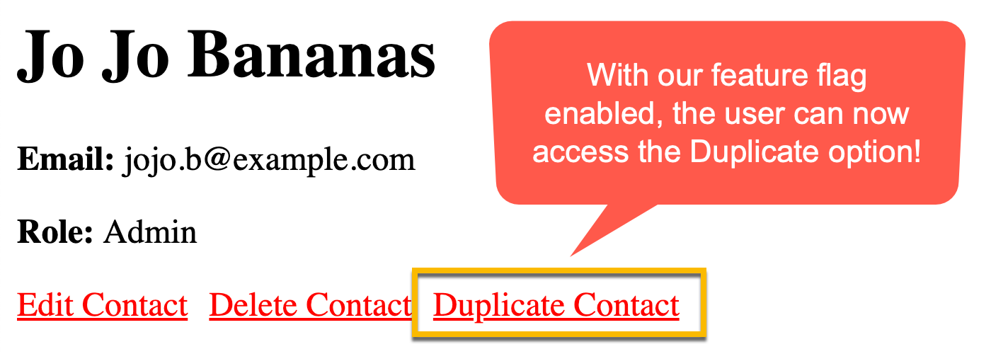 Contact detail page rendered with a Duplicate Contact action button now that the feature flag is enabled.