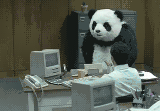 An angry panda destroyed a desktop computer and swipes all contents off the top of a desk. Then stares-down a terrified office employee.