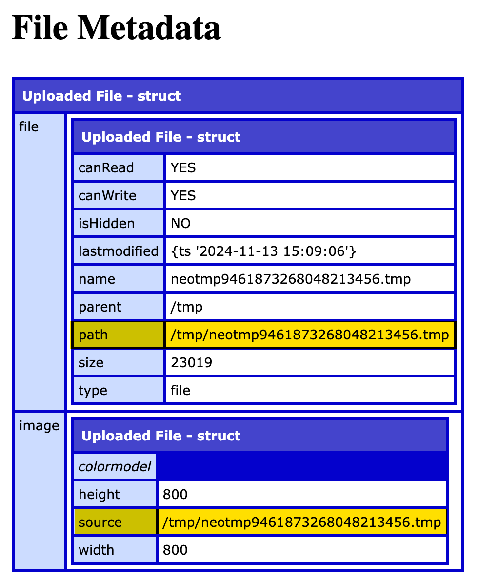 CFDump of the getFileInfo() and imageInfo() results in ColdFusion.